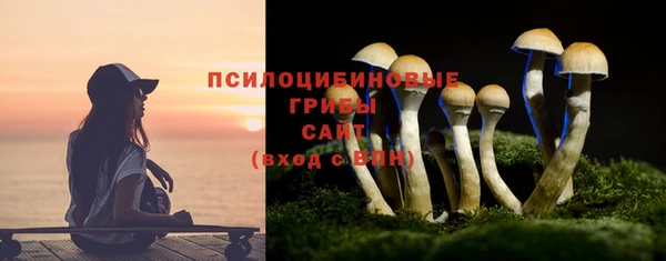 дмт Верхний Тагил
