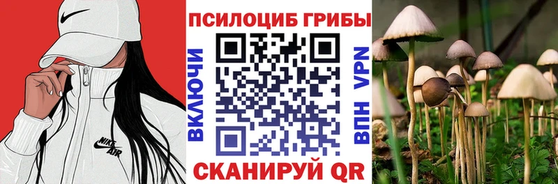 Галлюциногенные грибы Cubensis  Купить  Ленск 