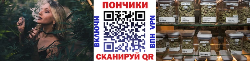 Купить где  Ленск  Бошки марихуана Amnesia 